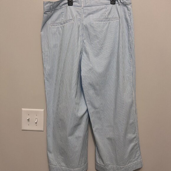 NWOT Palmer Wide Leg Crop Pants in Stripe Size 16 - Picture 3 of 6